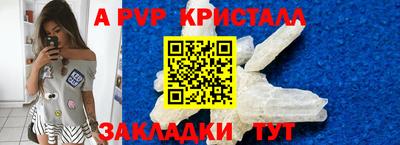 стафф Будённовск