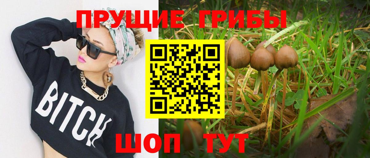 Псилоцибиновые грибы ЛСД Североуральск
